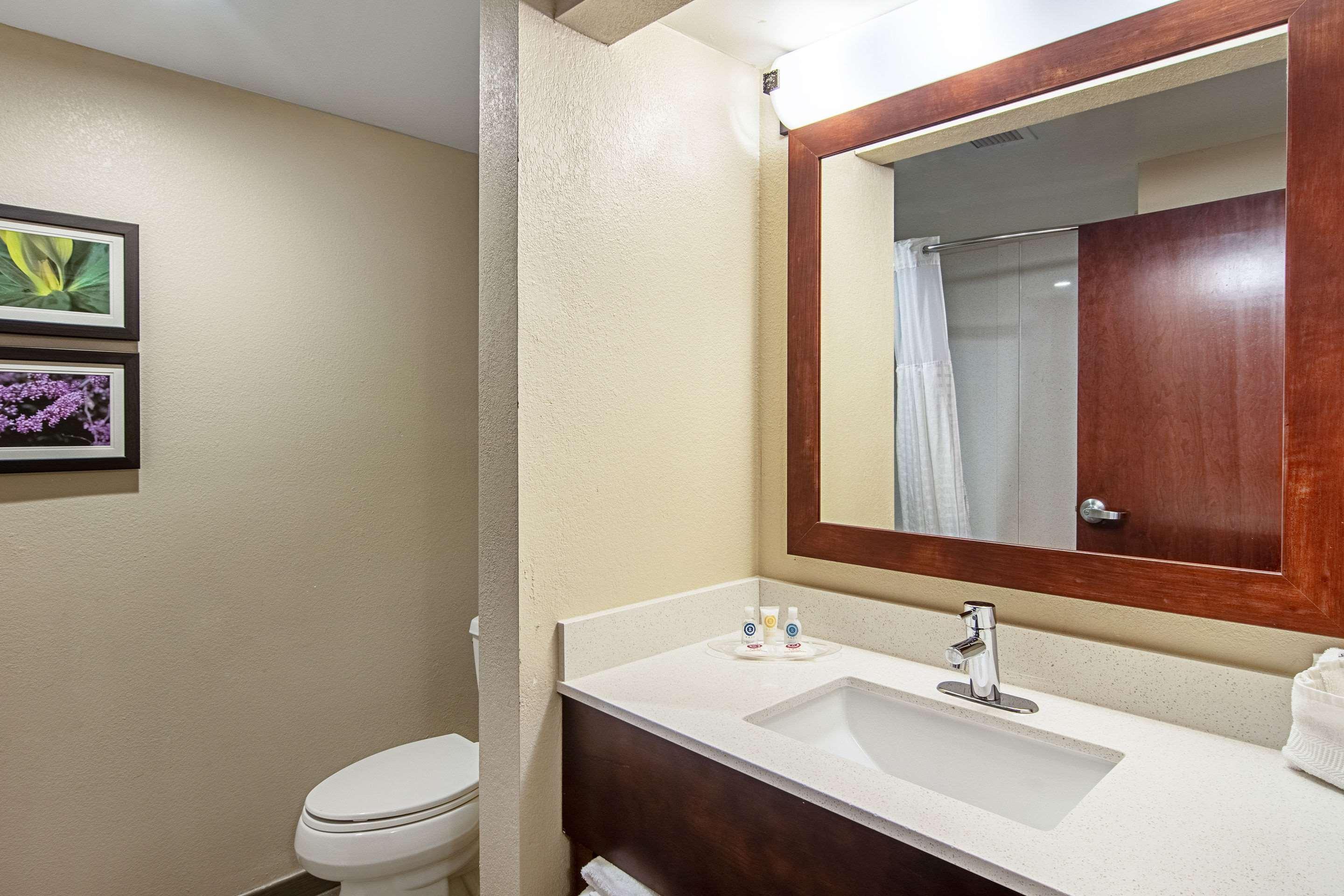 Comfort Suites Knoxville Airport Alcoa Buitenkant foto